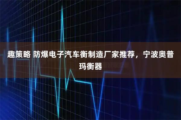 趣策略 防爆电子汽车衡制造厂家推荐，宁波奥普玛衡器