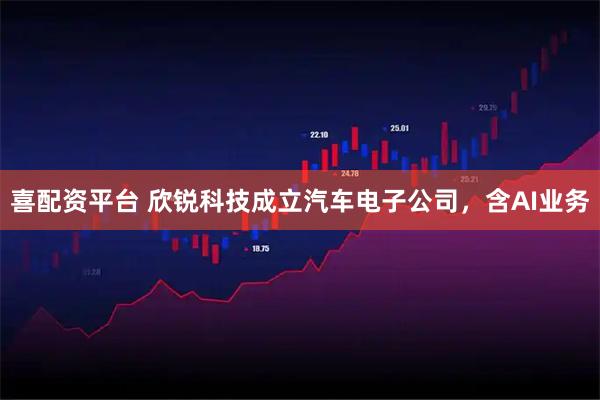 喜配资平台 欣锐科技成立汽车电子公司，含AI业务